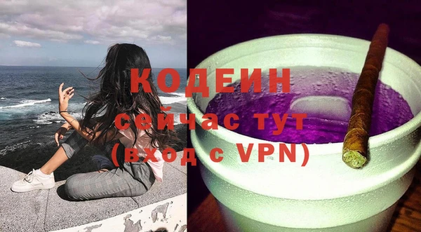 молекула духа Волоколамск