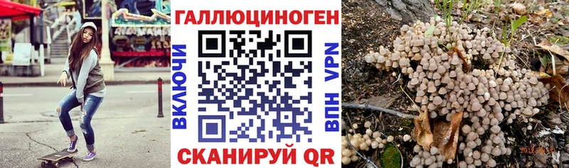 Купить где  Южно-Сухокумск  Псилоцибиновые грибы Psilocybine cubensis 